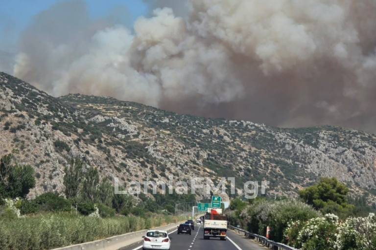 Φωτιά στο Ακραίφνιο: Μεγάλη κινητοποίηση της Πυροσβεστικής – Κλειστή η Αθηνών-Λαμίας