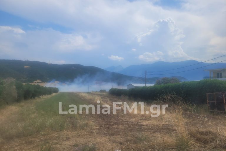 Φωτιά σε ελαιοπερίβολο στη Λαμία