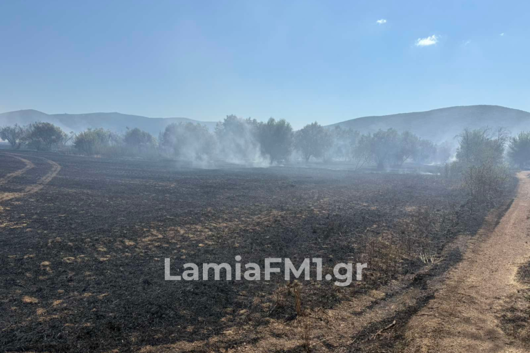 Φωτιά στην Παραλία Πελασγίας – Στη μάχη επίγειες και εναέριες δυνάμεις