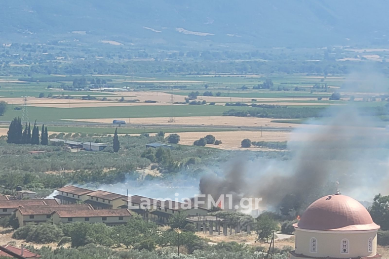 Φωτιά στη Λυγαριά Λαμίας – Πολύ κοντά σε σπίτια οι φλόγες (φωτό)