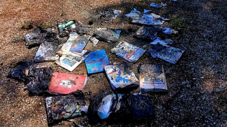 Εύβοια: Μαθητές έκαιγαν σχολικά βιβλία κάτω από πεύκα