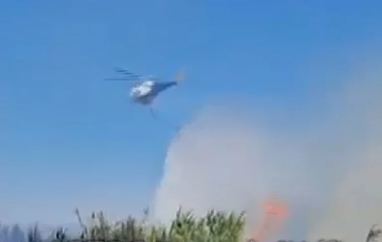 Χωρίς ενεργό μέτωπο η πυρκαγιά σε αγροτοδασική έκταση στην Πέτρα Βοιωτίας – Λήξη συναγερμού
