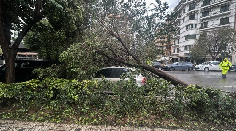 Σφοδρό πέρασμα της κακοκαιρίας από τη Φθιώτιδα: Δέντρα στους δρόμους, φωτιές από κεραυνούς και  ζημιές στις καλλιέργειες