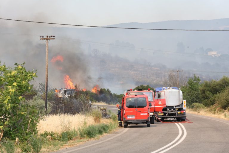 Υψηλός και σήμερα ο κίνδυνος πυρκαγιάς – Βαρύ πρόστιμο σε Λαμιώτη για άναμμα φωτιάς