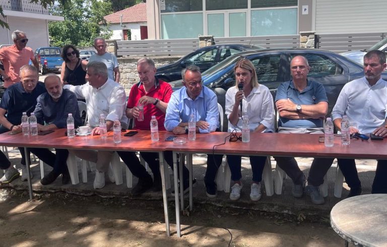 Επίσκεψη των Βουλευτών της Νέας Δημοκρατίας σε δημοτικά διαμερίσματα των Δήμων Αμφίκλειας – Ελάτειας, Λαμιέων και Μακρακώμης για τις καταστροφές απο την κακοκαιρίας